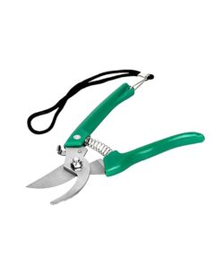 Small Fortune Converse