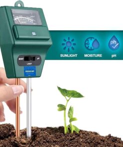 Arizona Racer Ox Converse