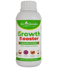 Talifa Bottol , NYPD